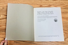 Lot United States Geological Survey Professional Paper USGS Geology Paleontology