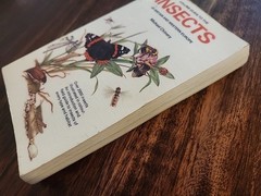 Collins Guide to the Insects of Bri…, Chinery, Michael