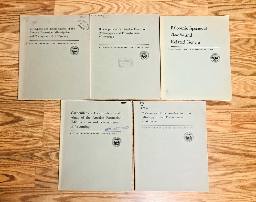 Lot United States Geological Survey Professional Paper USGS Geology Paleontology