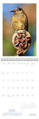 2023 Birds of Australia Wall Calendar- CLIFFORD B. FRITH & DAWN W. FRITH
