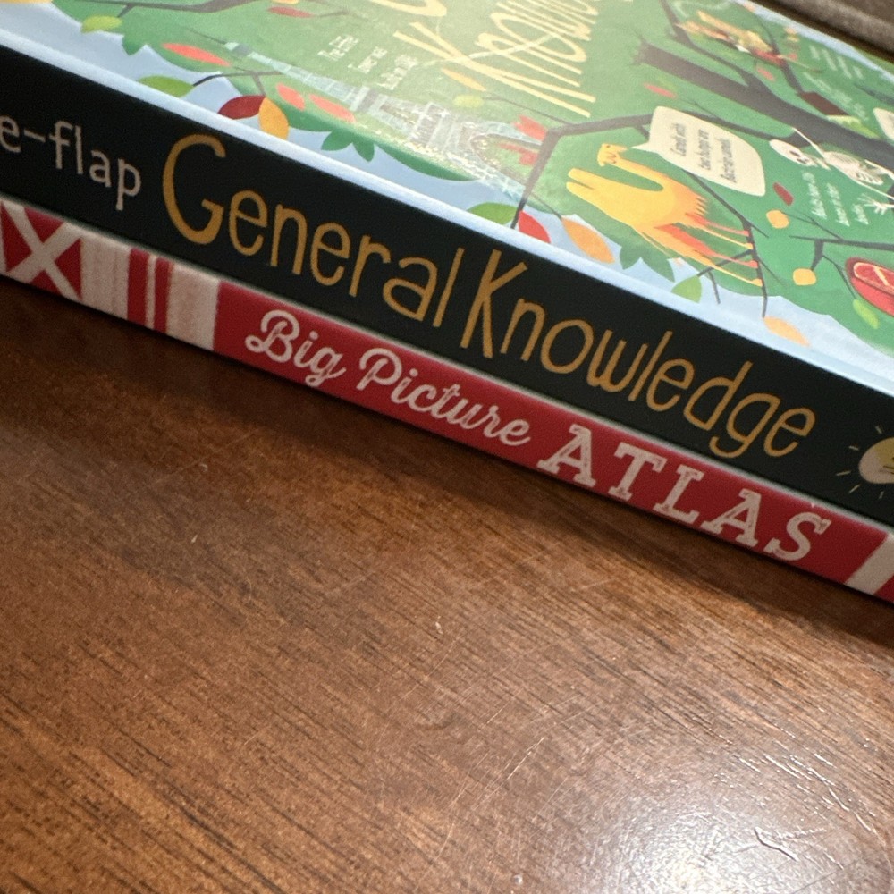 Usborne Big Picture Atlas and Lift the Flap general knowledge book (2 books)