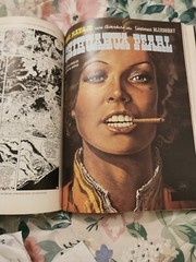 Masters of Comic Book Art by P.R. Garriock (Paperback, 1978)