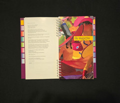AAA Spiral Guide Dublin Ireland 2002 Travel Guide Map Book Color Illustrated