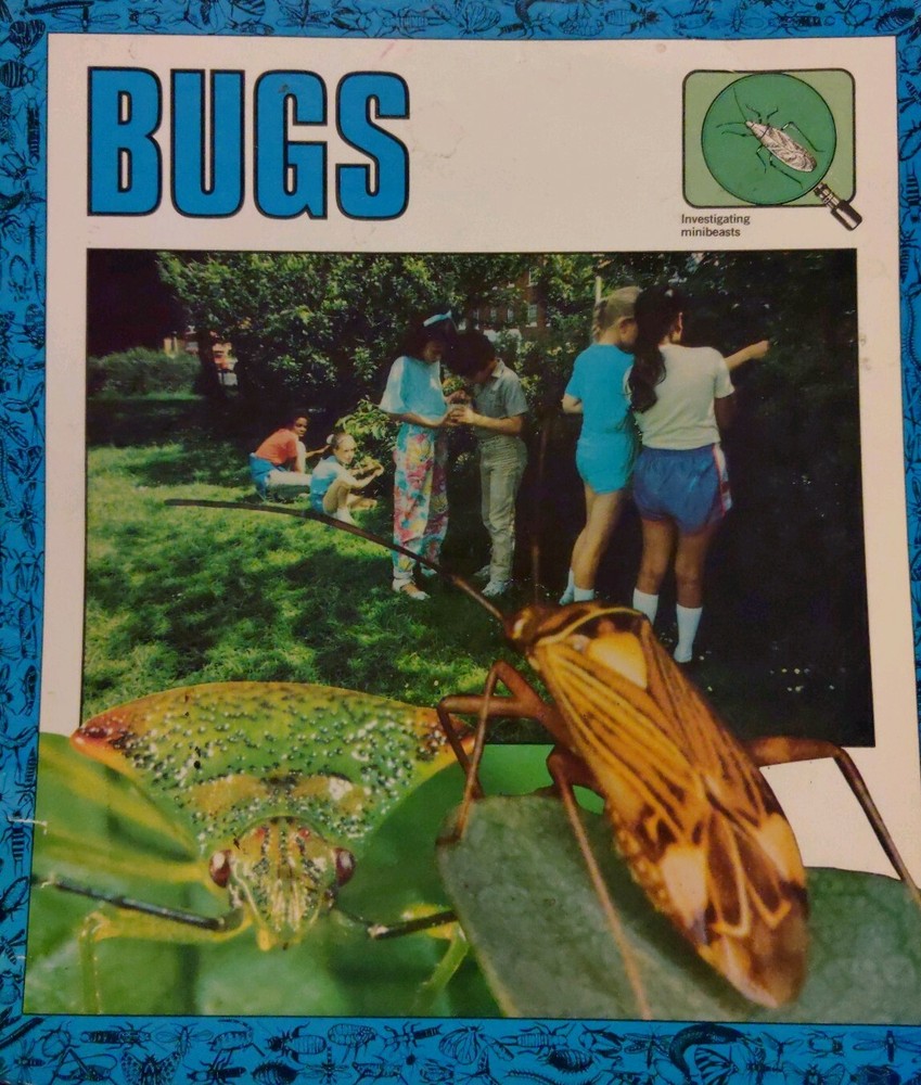 Investigating Minibeasts: Bugs by Whitton, Sally, Ashby, Mary NS7