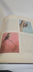 Hammonds Nature Atlas of America Vintage 1952