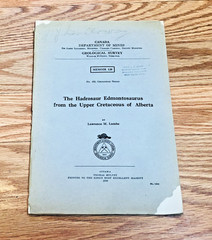 Lot 5 Canada Department of Mines Geological Surveys Paleontology Geology Vintage