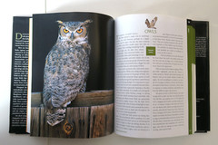 National Geographic Reference Atlas to the Birds of North America HC/DJ