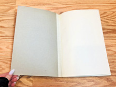 Lot 5 Canada Department of Mines Geological Surveys Paleontology Geology Vintage