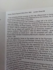 Pimlico, Sloane Square & Nine Elms 1869: London Sheet88 Old O.S. Maps