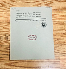 Lot United States Geological Survey Professional Paper USGS Geology Paleontology