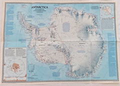 National Geographic, 4 Educational Maps Posters, Animal Migration, Whales, Birds