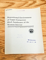 Lot US Geological Survey Biostratigraphy Depositional Environment Sandstone USGS