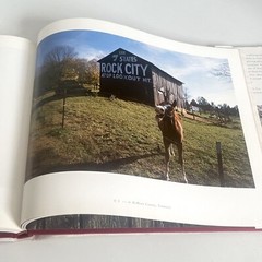 Rock City: A Passing Ear Photographed by David B. Jenkins Large Hardcover 1996