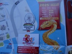 SINGAPORE TOURIST STREET MAP. CHINESE NEW YEAR 2025 / Horoscopes. MRT. ISLAND.