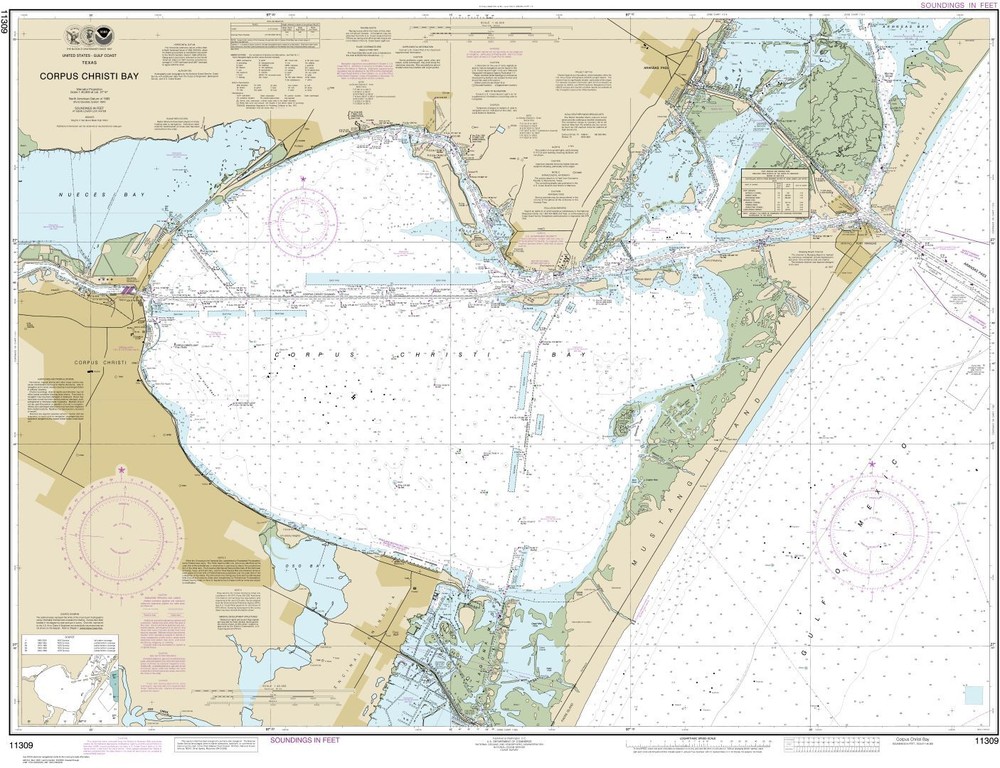 Corpus Christi Bay | Waterproof NOAA Chart 11309