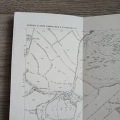 Alan Godfrey Old Ordnance Survey Map Hampstead 1866 London Sheet 27 Historical