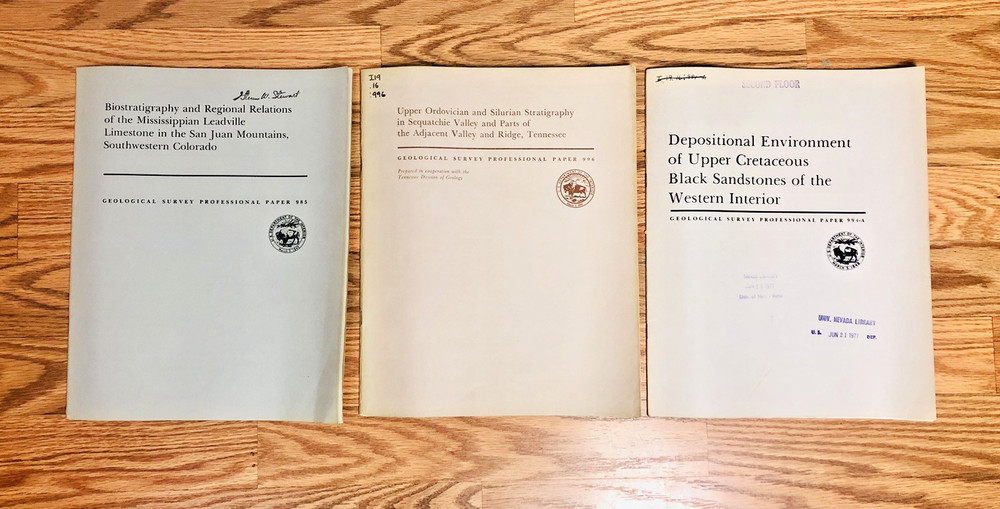 Lot US Geological Survey Biostratigraphy Depositional Environment Sandstone USGS