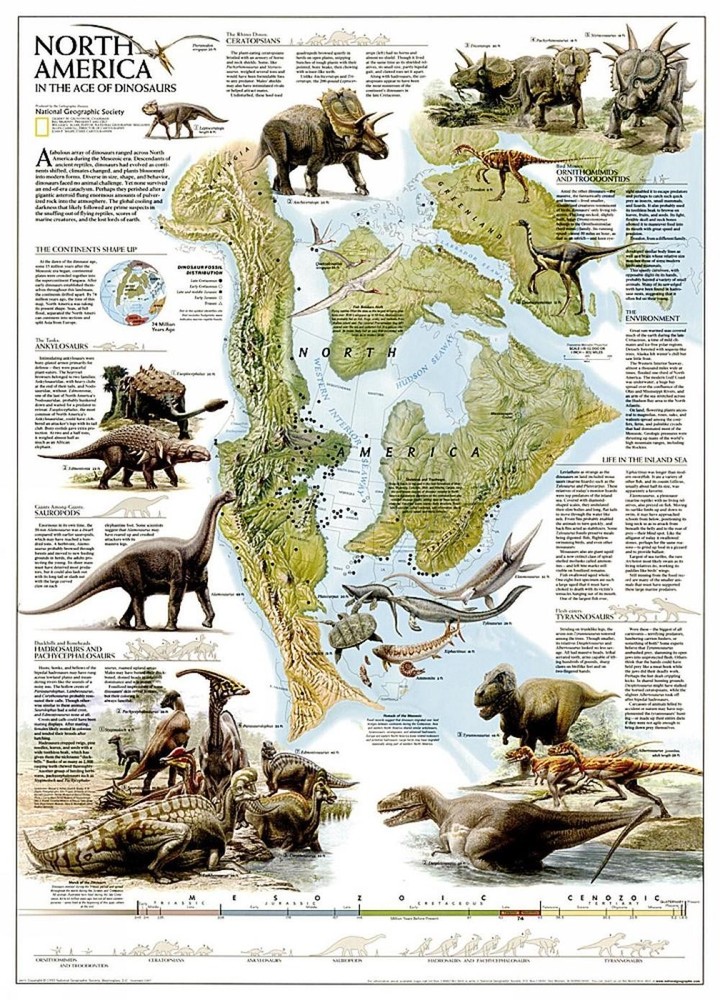 Dinosaurs of North America Map [Tubed]: Reference Maps by Nat Geo Maps (English)
