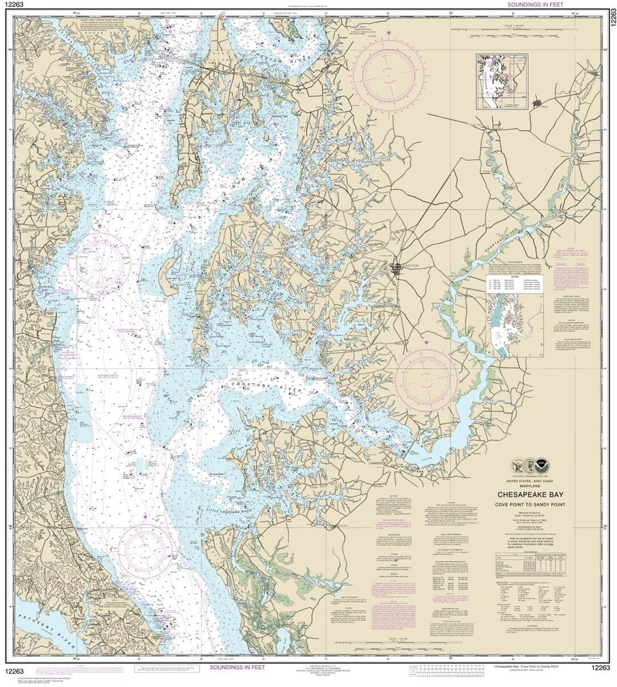 Chesapeake Bay Cove Point to Sandy Point | Waterproof NOAA Chart 12263