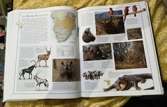 Coffee Table Book Illustrated Atlas of Wildlife