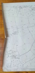 VINTAGE 1904 ORDNANCE SURVEY ROLLED MAP WESTHORPE 104CM X 73CM
