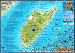 Cozumel Dive & Adventure Guide Franko Maps Waterproof Map