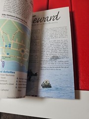 RARE 2008 Destination Alaska Cruise Guide Coupon Book Skagway Juneau 🛳 🚢