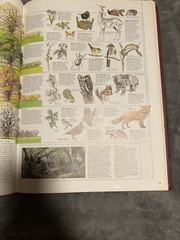 The World Book Great Geographical Atlas Big Red Book Map Encyclopedia Animals