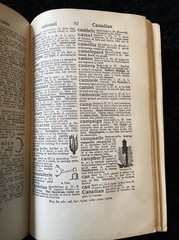 The Modern Standard Dictionary and World Atlas, Odhams Press HB Illustrated 1936