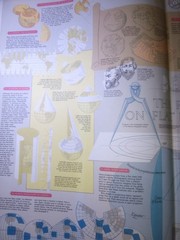 1975 Natural Geographic Atlas Of The World Fourth Edition 330 Pages