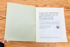 Lot United States Geological Survey Professional Paper USGS Geology Paleontology