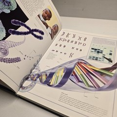 The Illustrated Atlas of the Human Body by Beverly McMillan Hardcover Medical