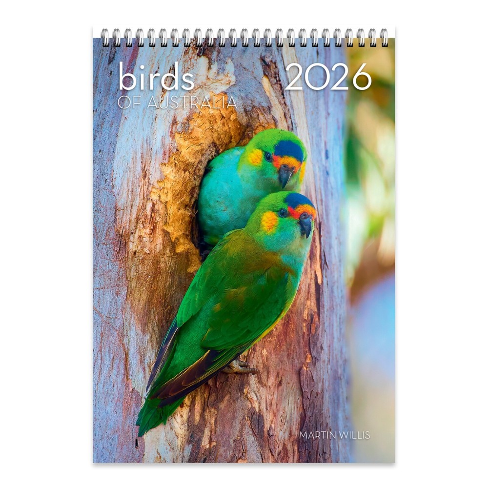 2026 Birds of Australia Wall Calendar – MARTIN WILLIS