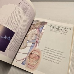 Atlas of Anatomy Human Body Reference Textbook TAJ Books Ltd Illustrated AU