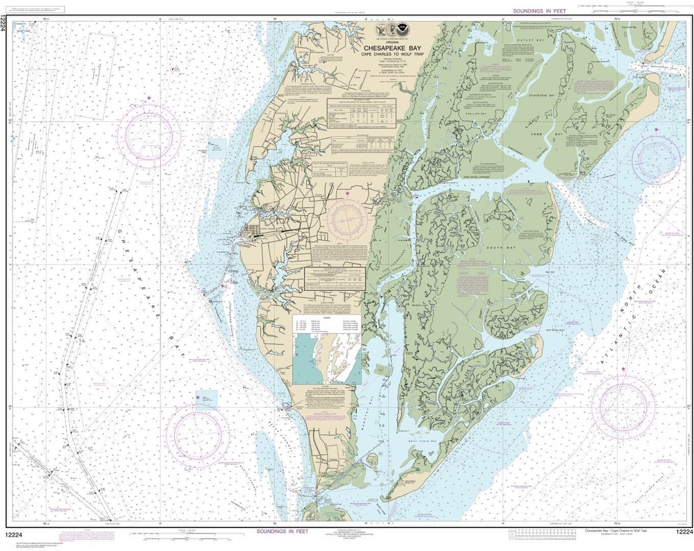 Chesapeake Bay Cape Charles to Wolf Trap | Waterproof NOAA Chart 12224