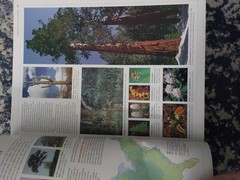 Atlas of America : Our Nation in Maps, Facts and Pictures by Reader’s Digest…