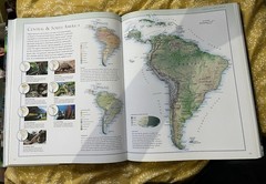 Coffee Table Book Illustrated Atlas of Wildlife
