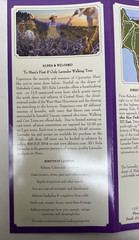 Ali’i Kula Lavender Maui Fold Out Walking Tour Guide
