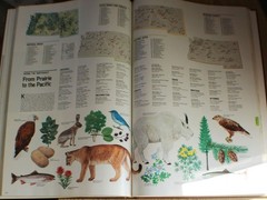 1985 National Geographic Atlas of North America Large Format Slipcover Magnifier