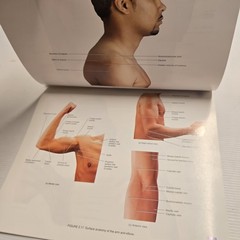 A Brief Atlas of the Skeleton, Surface Anatomy, Medical Images – Gerard J