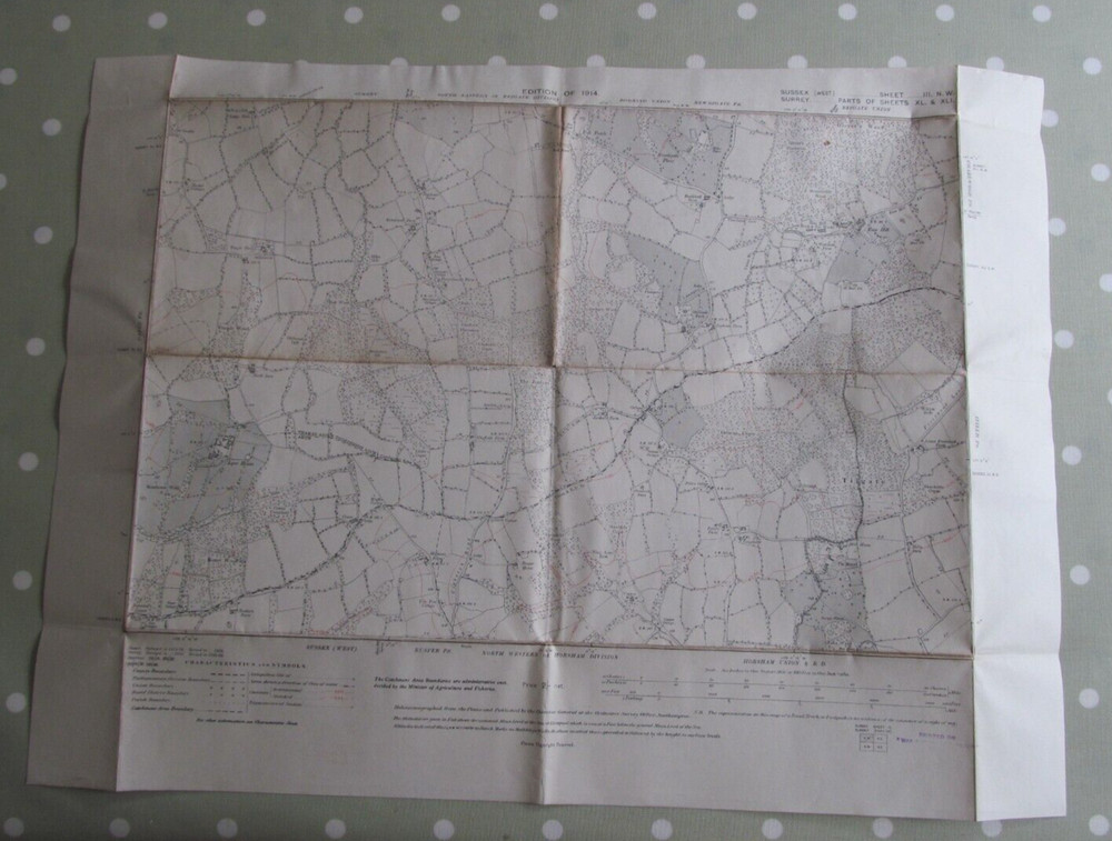 VINTAGE OS MAP OF LYNE HOUSE AREA SUSSEX 1914 EDITION – SIX INCHES TO ONE MILE