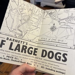Vintage Barnett’s Street Plan of Crawley Road Maps of Sussex Pre Decimal UK Map