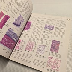Atlas of Anatomy Human Body Reference Textbook TAJ Books Ltd Illustrated AU