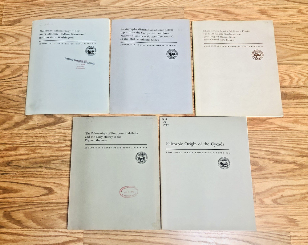 Lot United States Geological Survey Mollusks Cycads USGS Geology Paleontology