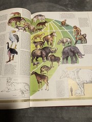 The World Book Great Geographical Atlas Big Red Book Map Encyclopedia Animals