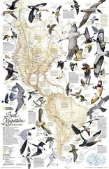 Bird Migration, Western Hemisphere, laminated – 9781597750820