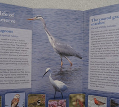 Lymington-Keyhaven Nature Reserve Information Leaflet. Wildlife. History. Salt.