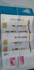 Ordnance Survey Geological Map, North London, Solid & Drift, Folded, Sheet 256