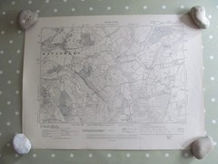VINTAGE OS MAP HASELMERE & VALEWOOD PARK AREA SUSSEX 1951 SIX INCHES – ONE MILE