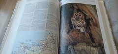 Vintage Ordnance Survey Nature Atlas Great Britain Hardback Book 1995 Ireland OS